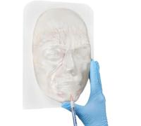 Professional Transparent Face Injection Model with Nerves & Blood Vessels, Anatomical Head Facial Injection Training Model for Estheticians, Medical Students, Detachble Face Skin