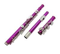 Professional Transverse Flute 16 Holes C Key Closed Hole Flute Colorful Rose Pink Body Silver Plated Keys Flute With Carrying Case