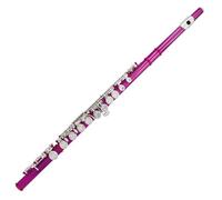 Professional Transverse Flute 16 Keys Closed Hole C Tone Flute Instrument With Cloth Gloves Screw Tool Through Rod And Case