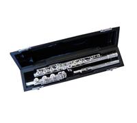 Professional Transverse Flute 17 Hole Open Holes Silver Plated Head Flute Student C Key Transverse Flute With Case