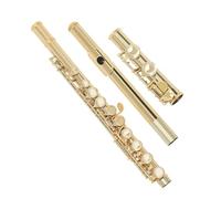 Professional Transverse Flute Nickel Plated Cupronickel 16 Keys Closed Hole C Tone Flute Woodwind Instrument With Case