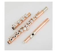 Professional Transverse Flute Phosphor Copper Body 17 Keys Flute Open Hole E Mechanism Flute Instrument With Case