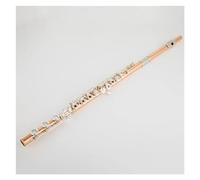 Professional Transverse Flute Phosphor Copper Body Silver Plated Keys Flute 17 Hole Open Hole E Mechanism Flute With Case
