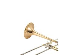 Professional Trombone Tenor Trombone B♭ F Key Suitable For Adult Beginners And Graded Exams(Brass)