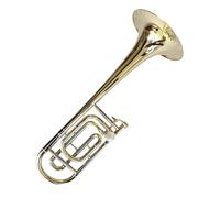 Professional Trombone Tenor Trombone B Flat Hand Held Instrument