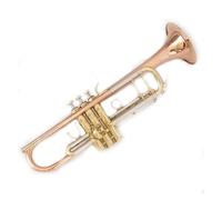 Professional Trumpet B-flat Craft Jazz Instrument Silver Plated Carved One-to-one Pattern Horn