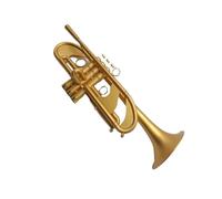 Professional Trumpet B Flat Trumpet Instrument Heavy Duty Trumpet