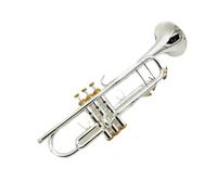 Professional Trumpet Bb Silver Plated Musical Instrument Quality Voice Horn (Color : 01)
