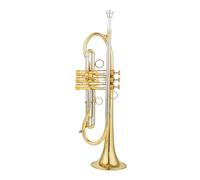 Professional Trumpet Bb Tune Brass Gold Plated Surface Professional Music Instruments With Case (Color : Gold)