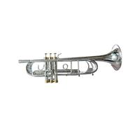 Professional Trumpet Bb Tune Brass Gold Plated Surface Professional Music Instruments With Case (Color : Silver)