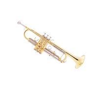 Professional Trumpet Brass Gold Playing B Flat Band Beginner Wind Instrument Two-color Trumpet