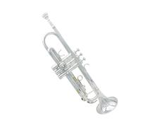 Professional Trumpet Brass Instrument Bb Tune With Case Mouthpiece And Other Accessories Silver Beginner Trumpet