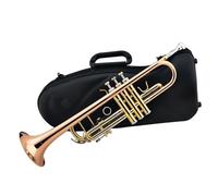 Professional Trumpet Instrument Phosphor Bronze Body White Copper Pitch Tube