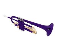 Professional Trumpet Standard Trumpet Band Horn Beginner Musical Instruments with Storage Case for Student Professional Instruments