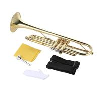 Professional Trumpet Trumpet In The Key Of Bb Gold Plated Brass With Glove Box(2)