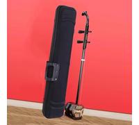 Professional Two-Stringed Musical Instrument with Accessories for Advanced Performers