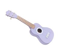 Professional Ukulele 21 Inch 4 String Ukulele Adult Beginners Can Play Ukulele Small Guitar Instrument (Color : C)