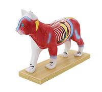 Professional Veterinary Trace Model with Meridian P Animal Anatomy Needle Model