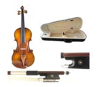Professional Violin 4/4 Hand Made Violine Musical Instruments Wood (Color : 02)