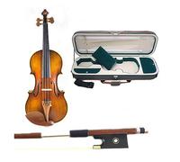Professional Violin 4/4 Hand Made Violine Musical Instruments Wood (Color : 05)