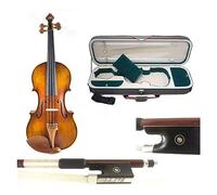 Professional Violin 4/4 Hand Made Violine Musical Instruments Wood (Color : 06)