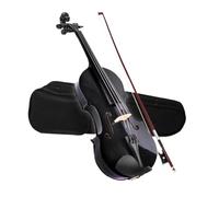 Professional Violin 4/4 Size Student Acoustic Violin Fiddle For Beginner Learner W/Case Brazilwood Bow Bridge Strings