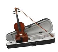 Professional Violin 4/4 Violin Acoustic Solid Wood Natural Color Bright Violino Basswood Violin Kits With Case Bow Beginners Instrument