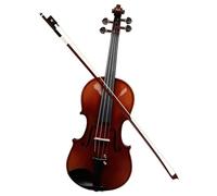Professional Violin 4/4 Violin Semi-Handmade Acoustic Spruce Wood Fiddle Kits With Case Bow For Beginners Instrument (Color : Handmade Natural)