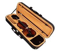 Professional Violin 4/4 Violin Semi-handmade Naturally Air-dried Spruce Panel Maple Back Inlaid Ebony Tuning Pegs