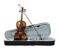 Professional Violin 4/4 Violin Solid Wood Set With Case Accessory For Playing Practising(Type1)