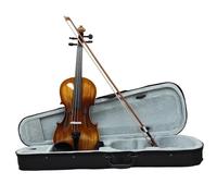 Professional Violin 4/4 Violin Solid Wood Set With Case Accessory Professional Musical Instruments For Playing Practising(Type1)