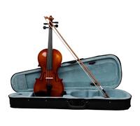 Professional Violin 4/4 Violin Solid Wood Set With Case Accessory Professional Musical Instruments For Playing Practising(Type2)