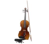 Professional Violin Graded Violin Beginners Handmade Adult Instrument Violin