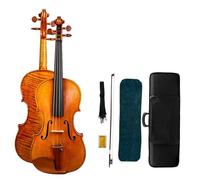 Professional Violin Professional Handmade Violin Set 4/4 European Wood Top Spruce Back Flamed Violin With Case (Color : 049)