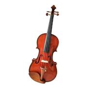 Professional Violin Violin 4/4 Handmade Carving Flower With Brazilwood Bow And Foam Case