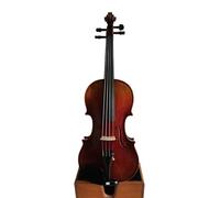 Professional Violins Professionally Crafted Violin With A Solid Maple Back And An Old Spruce Top Handc Arved