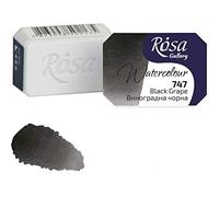 Professional Watercolour Paint, 2,5ml Half Pan, Gallery, Artist Quality (Black Grape)