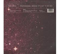 PROFESSIONAL WIDOW 12 INCH (12" VINYL) GERMAN EAST WEST 1996