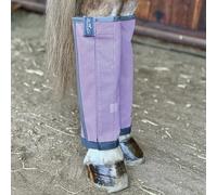 Professional's Choice Deluxe Fly Boots | Breathable Mesh | 4 Pack | Large Orchid