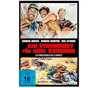Professionals for a Massacre ( Professionisti per un massacro )