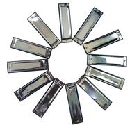 Professionals Harmonica 10 Hole Diatonic Blues Woodwind Harmonica(Sliver Color bD Key)