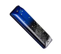 Professionals Harmonica 12 Hole Blues Harmonica For Beginners And Adults With Bass Professional Performance Level(C)