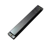 Professionals Harmonica 24 Hole Plastic Harmonica Beginner Black Diatonic Instrument Blues Folk