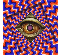Professional Mad Scientist [VINYL]