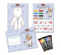 Professor Gauss™ Key Stage 2 Printed Magnet Game - Body Parts - Magnetic A3 Sheet For Fridge, Whiteboard Or Office