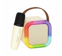 Professor Puzzle Portable Karaoke Machine