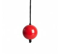 Proficient Enterprises Cricket Practice Ball with Rope, Red Training Ball with Black Cord
