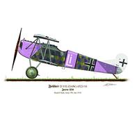 Profile Artwork, Fokker DV.II Vintage German Aircraft 1918 Rudolf Stark A3 Glossy Photo Print First World War WW1 Signed