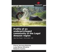 Profile of an underprivileged community in the Legal Amazon region: Jeca Tatu Project - Porto Velho - RO