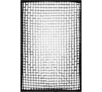 Profoto Softgrid 4x6